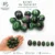 Ruby in Zoisite (2-3sm)