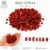 Red Coral (05-07sm)
