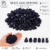 Blue Goldstone (07-1sm)