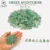 Green Aventurine (05-07sm)